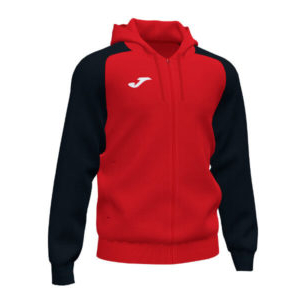 Academy Hoodie